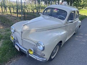 1955 Peugeot 203 H-Kennzeichen