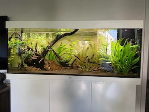 Juwel Rio 450 