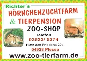 Streifenhörnchenkinder suchen liebevolles Zuhause!