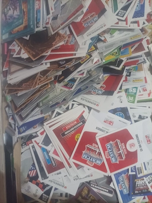 Panini WM 2026 Sticker
