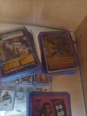 Digimon Karten erste Edition