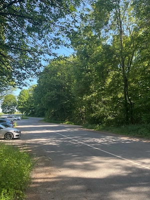 23.5. 17Uhr B19 PP Golfplatz....Er ( 50, 183, schlank, 20x5 ) wartet im Auto mit sichtbarer Latte