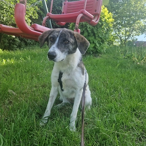 Rafaella ist 8 Monate und wird ca. 50-55 cm
