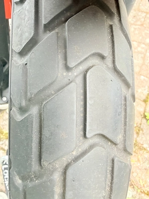 Ducati Scrambler 800 ICON, Zahnriemen neu, ZARD Auspuff Bild 5