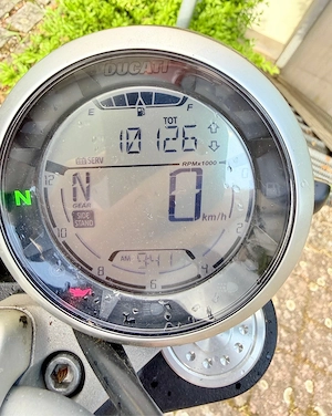 Ducati Scrambler 800 ICON, Zahnriemen neu, ZARD Auspuff Bild 4