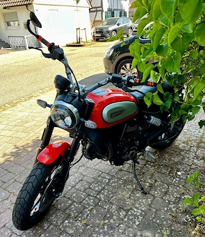 Ducati Scrambler 800 ICON, Zahnriemen neu, ZARD Auspuff Bild 2