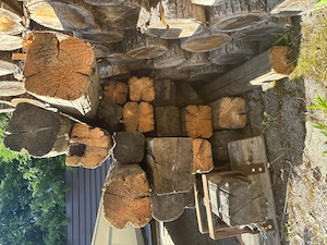 Balken holz für Fachwerkhaus carport gartenhaus
