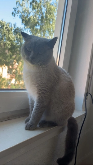 2 bkh-kater  