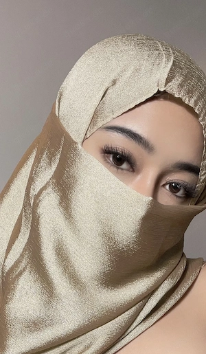 Hijabi erfüllt dir Online Wünsche