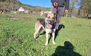 Hallo ich bin Kovo! 