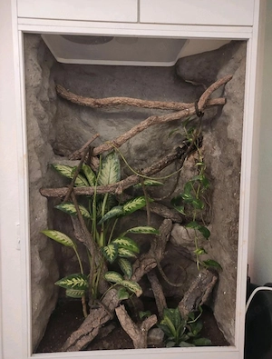 Regenwaldterrarium Hochterrarium mit Unterbauschrank und Zubehör 