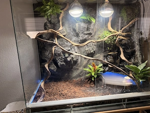 Terrarium 120x120 mit Wasserfall 