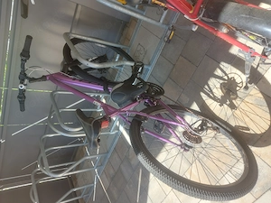 Lilla Damenfahrrad(26 Zoll)- 2,5 Jahre alt (reparaturbedürftig)