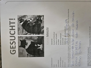 Wir suchen unsere Katze Mausi