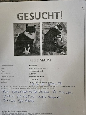Wir suchen unsere Katze Mausi