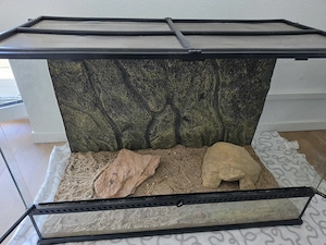 Terrarium 90x45x60 mit Rückwandelement und Beleuchtungselement
