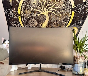 Monitor 27 Zoll