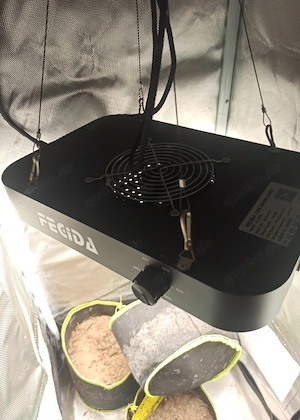 Homebox growzelt 40x40 1.20