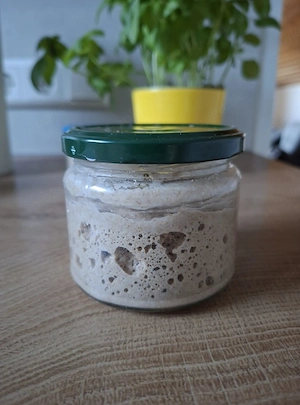 Sauerteigstarter Weienstarter Roggenstarter Anstellgut 1  10g