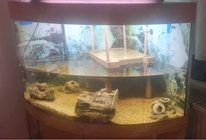 Aquarium+ Zubehör