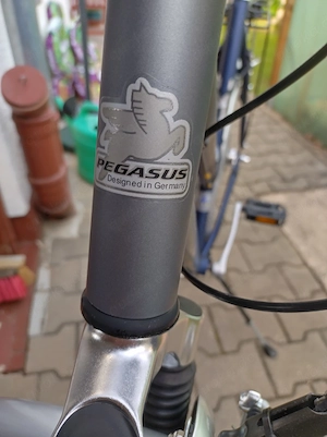 Pegasus Avanti Alu 