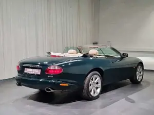 Jaguar XK Bild 3