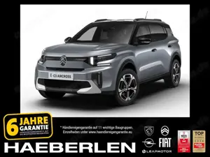 Citroen C3 Aircross TeamD *SOFORT*Winterp*3-phasig*
