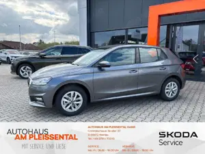 Skoda Fabia Fabia 1.0 TSI DSG Selection*SHZ*PDC*ALU*