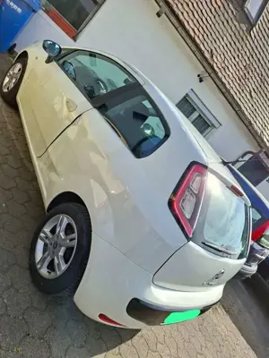 Fiat Punto Evo