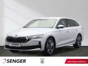 Skoda Octavia 2.0 TDI Tour DSG 360° Kamera AHK