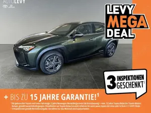 Lexus UX 300e Luxury ML/LEDER/360