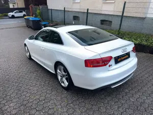 Audi S5 Bild 3