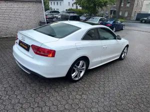 Audi S5 Bild 5