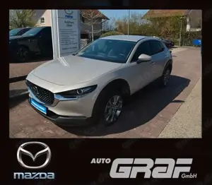 Mazda CX-30 Exclusive-Line NAVI LED 360° ACC PDC HUD