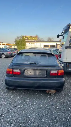 Honda Civic Bild 5