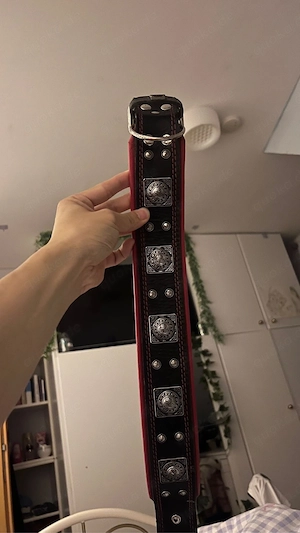 Echtleder Hundehalsband von Bestia