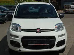 Fiat Panda Bild 2
