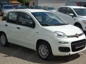 Fiat Panda Bild 3
