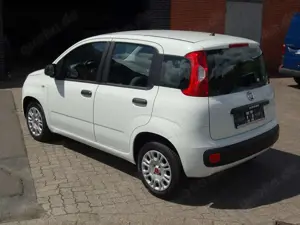 Fiat Panda Bild 4