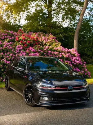 Volkswagen Polo GTI 2.0 TSI OPF DSG