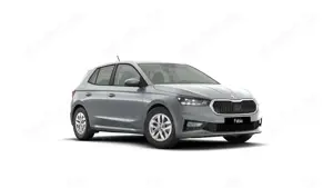 Skoda Fabia Extra Plus 1.0 TSI 116PS, 5 Jahre Garantie, SMO...