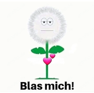 Bin Bi Mann und gerne outdoor oder Auto lasse mir gerne zusehen und von Senioren als Vorlage benutze