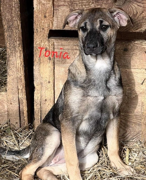 Tonia - erst schüchtern, dann Freundin fürs Leben 