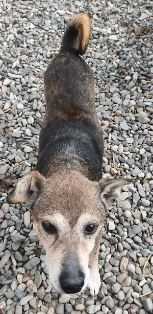 Matty wartet auf dich Bild 2