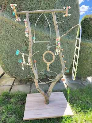 XXL Papageien Freisitz 177 cm Hoch Für große & Kleinere NEU !