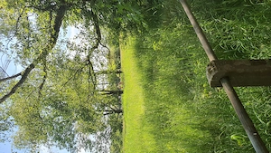 Suche am Silbersee einen Mann der sich Blasen lassen möchte Bild 2