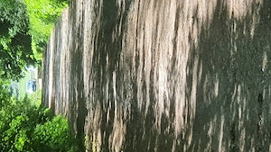 Suche am Silbersee einen Mann der sich Blasen lassen möchte Bild 3