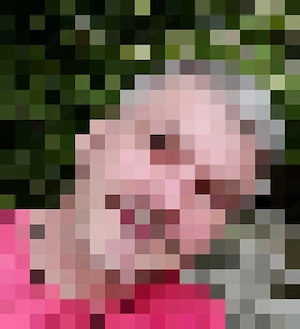 Ich suche einen BJ für 150 von Ihr 18-25 in Nordhessen