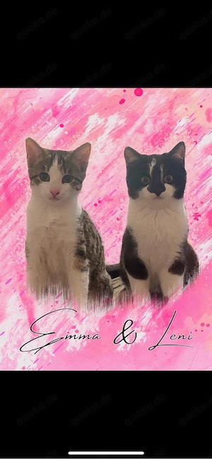 Verschmuste Emma & Leni suchen ihr für immer zu Hause