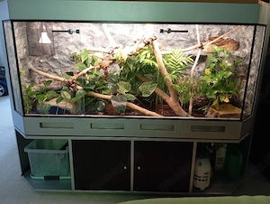 Terrarium XXL 150*60*60 mit Rückwand und Unterschrank 